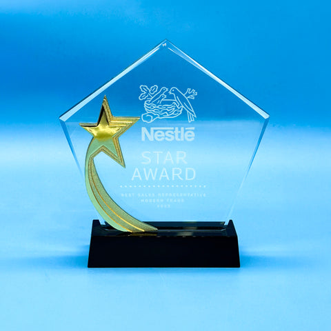 Star Award | CS955