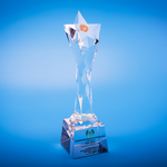 Star Award | CS931 - D One Crystal Award Trophy Malaysia