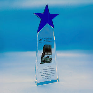 Celebrate Excellence with D-One Crystal Star Awards