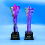 Star Award | CS953 & CS954