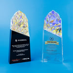 Crystal Trophy | D5302 A/B