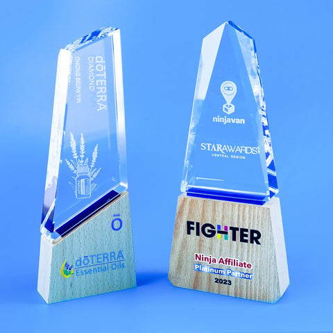 Crystal Trophy | D5307 & D5308