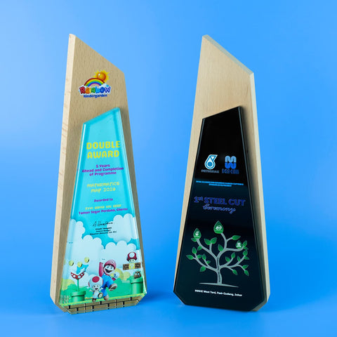 Crystal Trophy | D5309 A/B