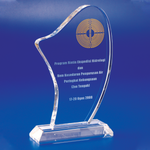 Crystal Plaque | C614 - D One Crystal Award Trophy Malaysia