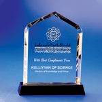 Crystal Plaque | C616 - D One Crystal Award Trophy Malaysia