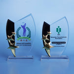 Star Award | CS944 A/B - D One Crystal Award Trophy Malaysia