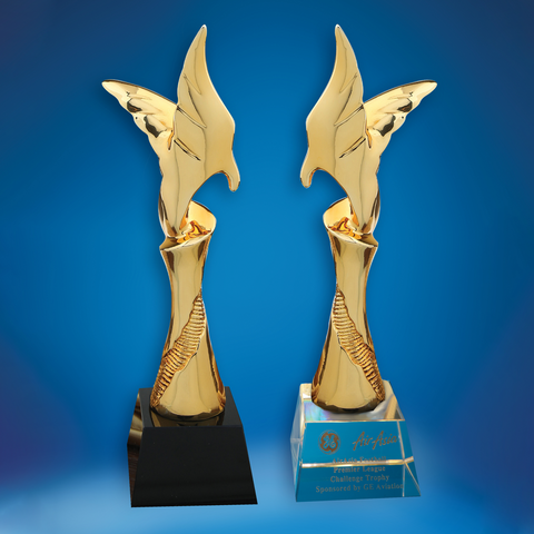 Crystal Trophy | D5036 A/B - D One Crystal Award Trophy Malaysia