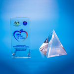 Crystal Gifts | D5040 A/B - D One Crystal Award Trophy Malaysia
