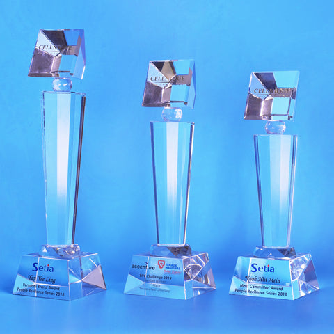 Crystal Trophy | D5114 A/B/C - D One Crystal Award Trophy Malaysia